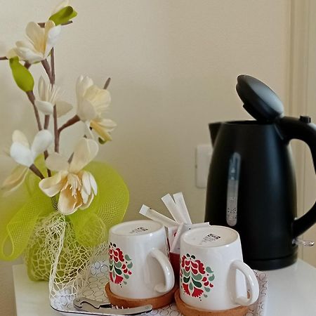 B&B Villino Luschi Pisa Centro المظهر الخارجي الصورة