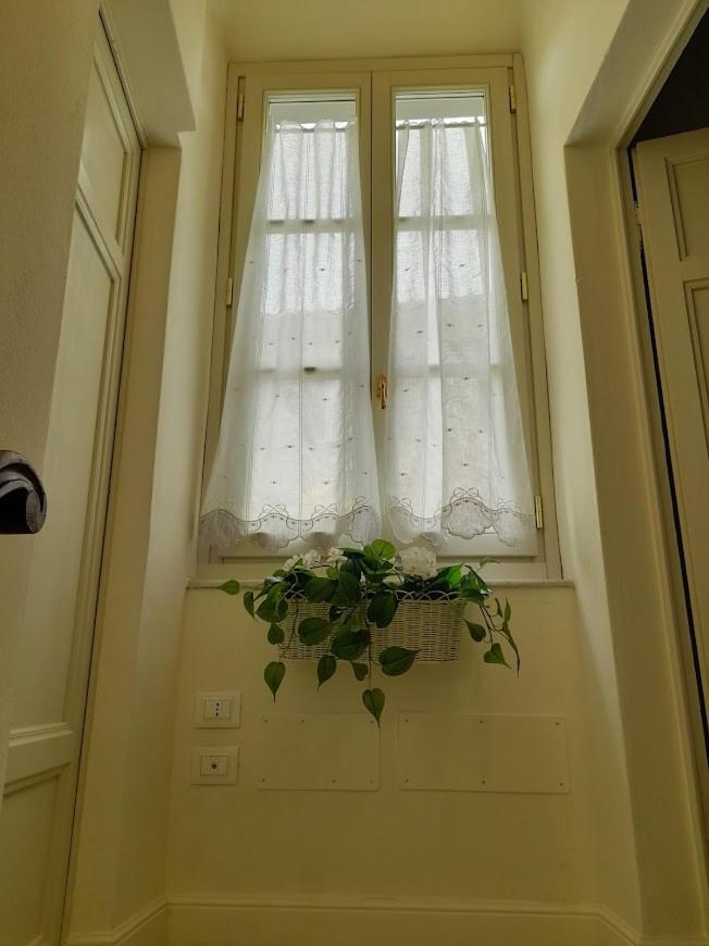 B&B Villino Luschi Pisa Centro المظهر الخارجي الصورة